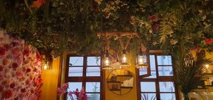  at Earth Bowls in Heidelberg