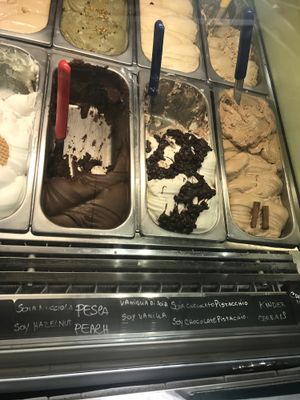 Soya Ice Cream Flavours  at Blue Ice Gelaterie in Rome