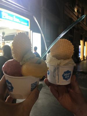 Vegan Gelato at Blue Ice Gelaterie in Rome