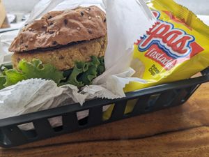  at Villa Burger in Monteverde