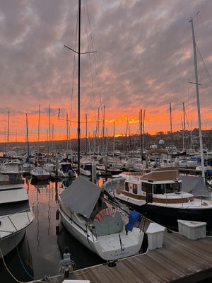 sunset view from the deck #Veganuary at 1886 Kitchen + Bar in San Diego