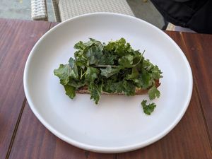 Avo toast at Mejorana Cocina Temporal in Oaxaca