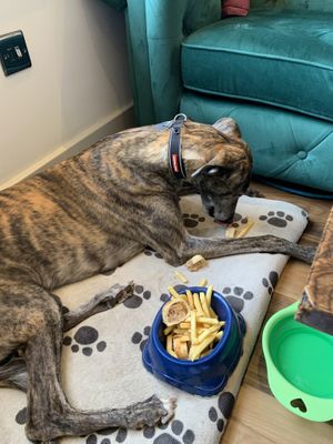 Even Haize got catered for .all very happy customers😁  at Huggers in Norwich