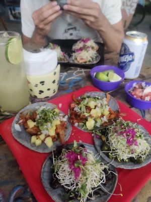  at Tropical Tacos in Playa Del Carmen