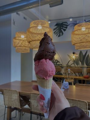   at Lucciano in Montevideo