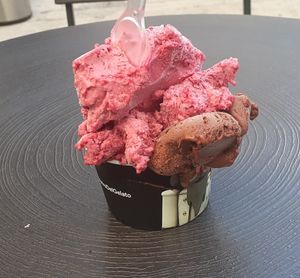 Dark chocolage sorvet and Patagonia ("small" size) at Lucciano in Montevideo