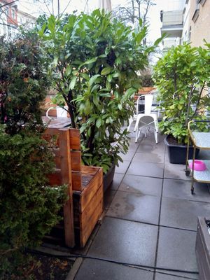 Blick in den Außenbereich links vorm Eingang at Stück Vom Glück in Berlin