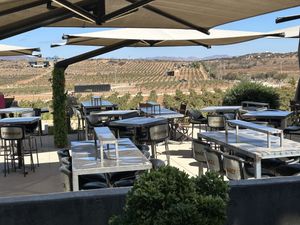 View across vineyard   at King & Queen in Villa De Juarez