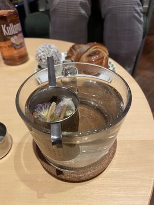 Flower Tea 🍵 at Kafe Hummusson - 2nd Floor in Malmo