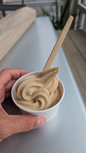 Vegan ice cream at Seylou Bakery in Washington