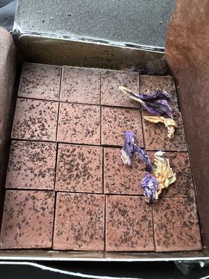 Earl grey chocolate- heaven!  at Alohana  in Tokyo