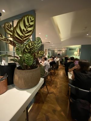   at Mildreds - Covent Garden in London