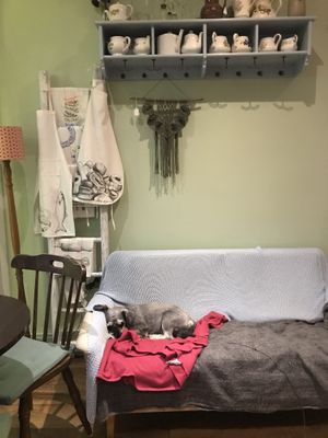 Lenny  at Bread and Butterflies in West Bridgford