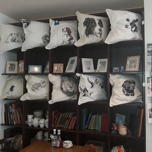 hand drawn cushions at Bread and Butterflies in West Bridgford
