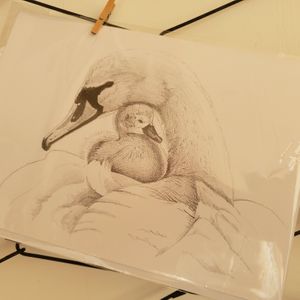 hand drawn card at Bread and Butterflies in West Bridgford