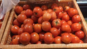 Fresh tomato at Sustaina in Bangkok