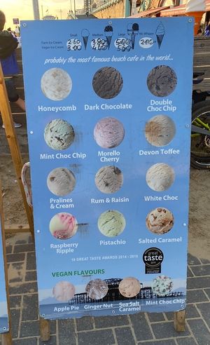 Menu (vegan flavours at the bottom)  at The World Famous Pump Room in Brighton