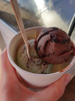 Mint Chocolate & Chocolate Oreo at The World Famous Pump Room in Brighton