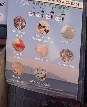 Vegan ice cream menu  at The World Famous Pump Room in Brighton