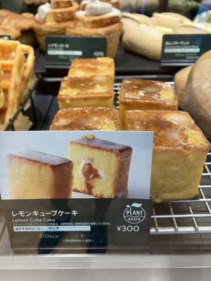   at Starbucks in Tokyo