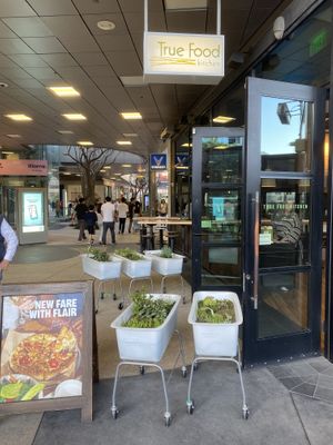   at True Food Kitchen in Santa Monica