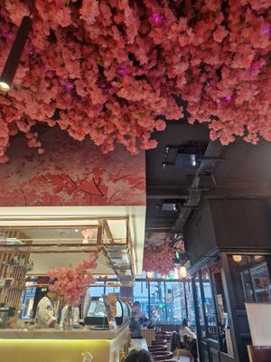  at Maki & Ramen in Glasgow