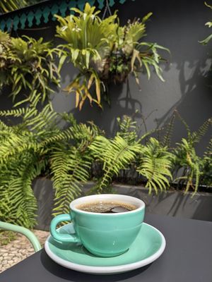  at Greenhouse Coffee Roaster in Funchal