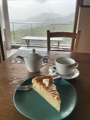 Vegan lemon cake  at Achada do Texeira in Santana