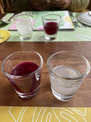 Kvass  at Vegan Vogue in Bangalore