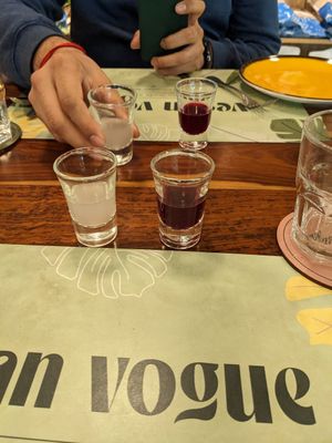  at Vegan Vogue in Bangalore