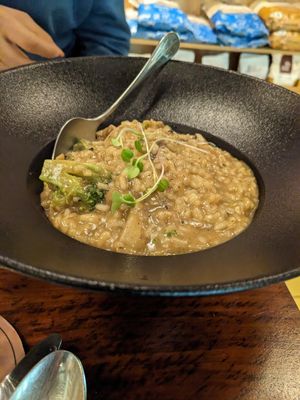  at Vegan Vogue in Bangalore