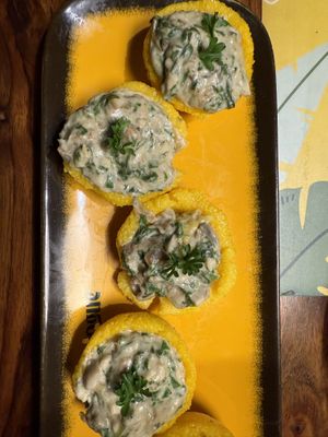   at Vegan Vogue in Bangalore