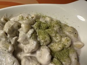   at Vegan Vogue in Bangalore