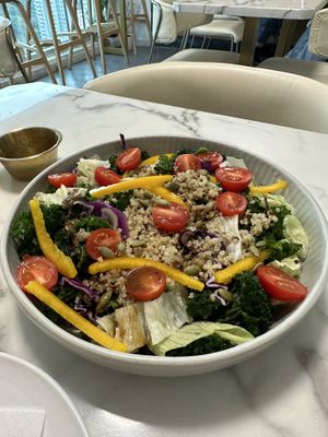 Salad  at Young Vegan - 有样纯素西点 in Shenzhen