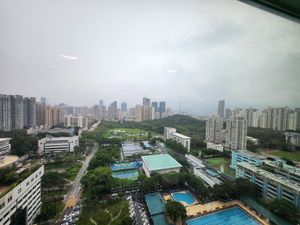  at Young Vegan - 有样纯素西点 in Shenzhen