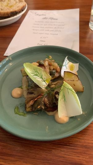   at Foxglove in Barmouth