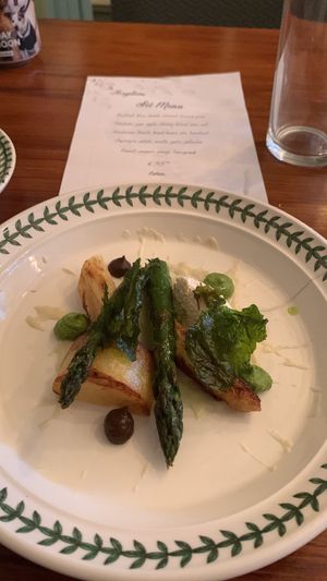   at Foxglove in Barmouth