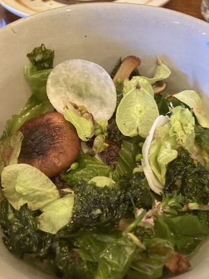   at Foxglove in Barmouth