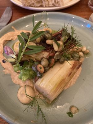   at Foxglove in Barmouth