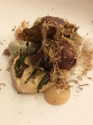  at Foxglove in Barmouth