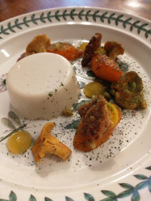 Hogweed Panna cotta, Girolles, Rock Samphire, Carrot.... at Foxglove in Barmouth