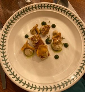   at Foxglove in Barmouth