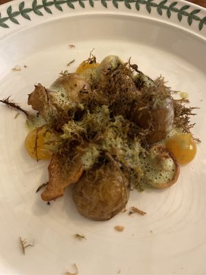   at Foxglove in Barmouth