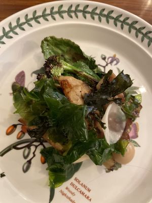   at Foxglove in Barmouth