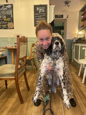   at Foxglove in Barmouth