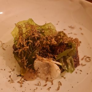  at Foxglove in Barmouth