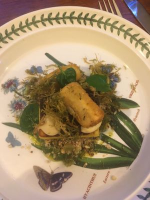  #Veganuary at Foxglove in Barmouth