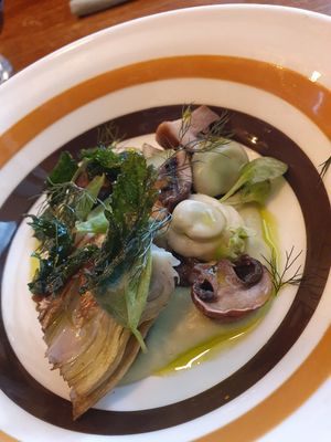  at Foxglove in Barmouth