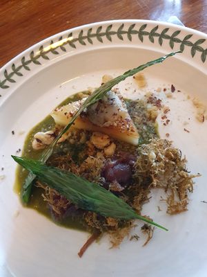  at Foxglove in Barmouth