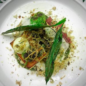  at Foxglove in Barmouth